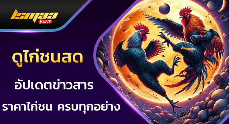 ดูไก่ชนสด