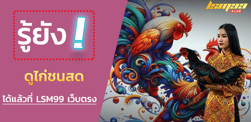 ดูไก่ชนสด