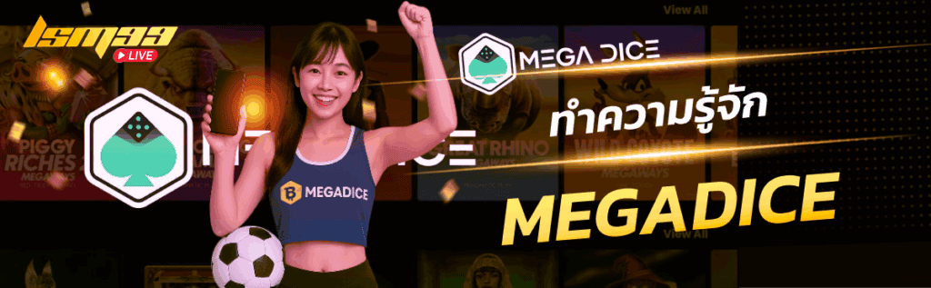 ทำความรู้จัก MEGADICE