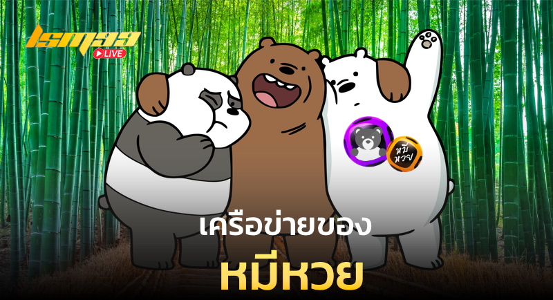 เครือข่ายของหมีหวย