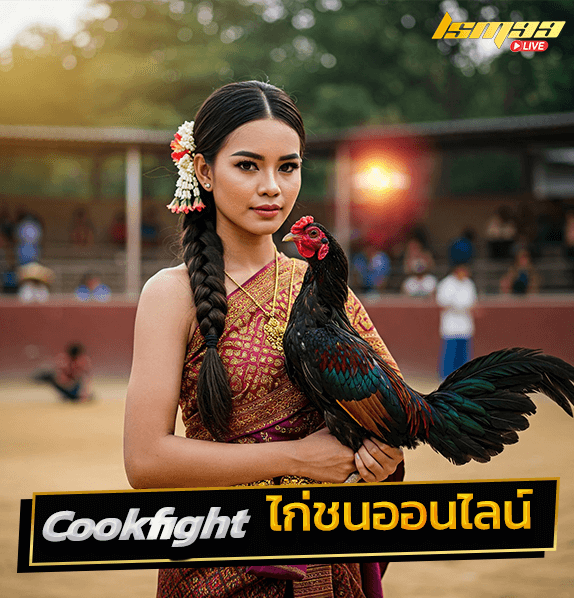 ไก่ชน cookfight